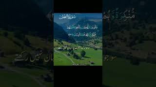 Surah An-Nahl urdu translation verses 20 to 23 #surahnahl ||learn Quran with relaxing videos