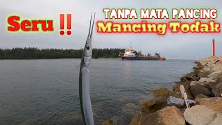 Seru!! Mancing Todak Tanpa Mata Pancing  #viral #trending #mancing #mancingmania #bengkulu