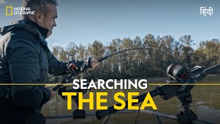 Searching the Sea | Wild Fish | हिन्दी | Full Episode | S1 - E4 | National Geographic