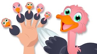 Avestruz dedo de la familia |  Poemas infantiles para niños y canciones