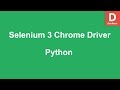 Selenium 3 Python Chrome Driver