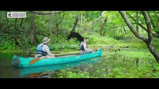 Kagami no Ma Cruise in the Headwaters of the Kushiro River / 釧路川源流クルーズ・鏡の間