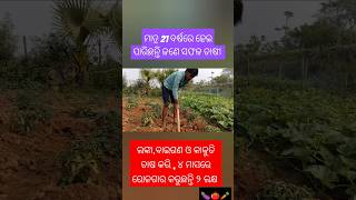 ଅତି କମ୍ ବୟସରେ ହୋଇପାରିଛନ୍ତି ସଫଳ ଚାଷୀ/#shorts #farming #organicfarming #food #vegetables #odiavlog