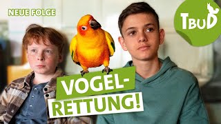 Ein geschicktes Paar (Folge 126) | Tiere bis unters Dach