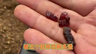 峰哥最后一天在宝玉石矿寻宝，找到了宝石窝，看捡到了多少红宝石