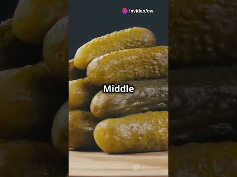 Pickle Youtube