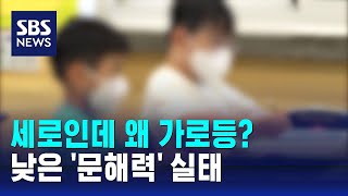 세로인데 왜 가로등?…낮은 '문해력' 실태 / SBS