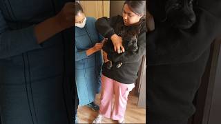 Bobby ka first vaccination 💊💉 #riyamehta #trending #minivlog #shortvideo #doglover #dogluxo