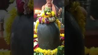 श्री औढ़ा नागनाथ नागेश्वर ज्योतिर्लिंग जी के संध्याकालीन आरती दिव्यदर्शन #12jyotirling #shorts #shiv