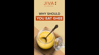 The Medicinal Properties of Ghee | #JivaAyurveda #Ghee #healthbenefits #ayurvedalife  #shorts