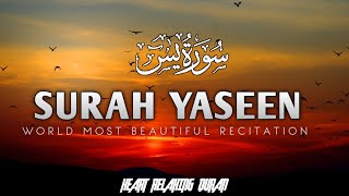 Ramadan Special | Surah Yasin (Yaseen) سورة يس| Relaxing heart touching voice|Quran Tilawat |Epi 001