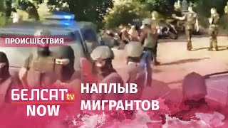 Как встречают нелегалов литовские пограничники