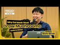 Why Sarawak Must Grow Mushrooms Before 2030 ft. OINC Sdn Bhd