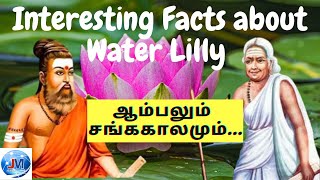 Interesting Facts about Water Lilly | ஆம்பல் | Nymphaea Pubescens | Tamil | Journalist Mano | V34