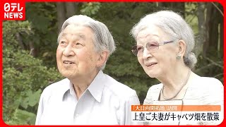 【上皇ご夫妻】「大日向開拓地」訪問…キャベツ畑を散策  軽井沢で静養中