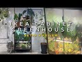 IKEA Greenhouse Cabinet RUDSTA Setup and Tips | Best Indoor Condition for Anthurium Plant