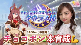 【ウマ娘】タウラス杯に向けてチョコボン本育成するー！！～ところで因子厳選うまくいったのかい？～【無課金】