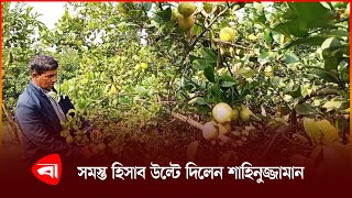 ব্যবসা ছেড়ে লেবু চাষে ভাগ্য বদল শাহিনুজ্জামানের | News | Protidiner Bangaldesh