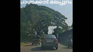 22 ഡിസംബർ 2024 മലപ്പുറം