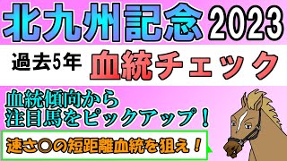 北九州記念2023 考察 過去5年血統チェック【バーチャルサラブレッド・リュウタロウ/競馬Vtuber】