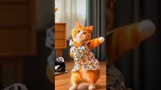 Happy time #cat #automobile #short #shorts #funny #catlover