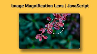 Create an Image Zoom Lens Effect 🔍 | HTML, CSS & JavaScript Tutorial | MzCode01 #coding #htmlcss #js