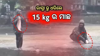 ତାମିଲନାଡୁ ର ରାଜରାସ୍ତା ଉପରୁ ଧରିଲେ  15kg ର ମାଛ   //