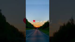 Tu Meri Rooh 🦋❤️😘 Asthetic Lofi Song 🥰Lyrics 🥀