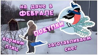 НА ДАЧУ В ФЕВРАЛЕ.Кому недодали снега?Поделимся!))ДАЧНЫЕ ПОКУПКИ