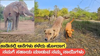 ಕಾಡಿನೊಳಗೆ ನಮಗೆ ಏನಾದರೂ ತೊಂದರೆಯಾದಾಗ ಸಹಾಯಕ್ಕೆ ಬರುವ ನಮ್ಮ ನಾಯಿಗಳು