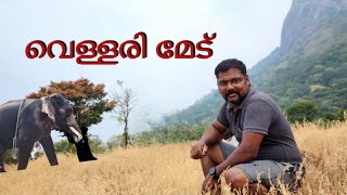 kollengode വെള്ളരി മേട്