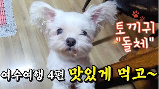 [여수여행 VLOG 4편] 여수 맛집 음식!! 맛있게 먹으면 0칼로리