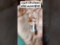 കൊറിയർ പാക്കിൽ ഗപ്പി പ്രസവിച്ചു 😲😇 guppy_tank guppy_farm crayfish_farm guppy_valarthal short