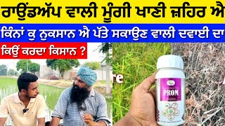 Moong crop , ਮੂੰਗੀ ਤੇ ਪੱਤੇ ਸਕਾਉਣ ਵਾਲੀ ਸਪਰੇਅ ਦਾ ਕਿੰਨਾਂ ਕੁ ਨੁਕਸਾਨ