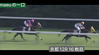 クロニクルノヴァ 16戦目　　　　　4歳以上2勝クラス（2勝クラス）　芝 1400m京都競馬場12R 16:10