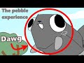 The Pebble experience (Dandys World)