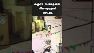 கஞ்சா போதையில் இளைஞர்கள் சேட்டை | #shorts | #erode