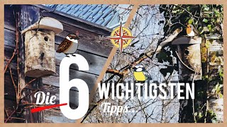 Nistkasten richtig aufhängen || Die 6 wichtigsten Tipps 🐦 •In 4min