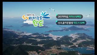 낚시꾼의 천국 완도 여행 💜 A trip in South.Korea | No Copyright | Self-produced Video