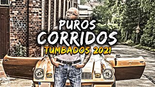😈MIX CORRIDOS TUMBADOS 2020 - 2021👿Tony Loya, Natanael Cano, Junior H, Fuerza Regida, Legado 7, Ovi