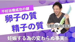 【不妊治療成功の鍵】妊娠する為の変わらぬ事実！やっぱり必要〝卵子と精子〟を高める努力