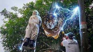 Huge Bee Hive vs High Voltage Lines!