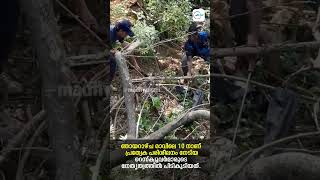 ഞായറാഴ്ച രാവിലെ സന്നിധാനത്ത് നിന്ന് രാജവെമ്പാലയെ പിടികൂടുന്നതിന്റെ ദൃശ്യങ്ങൾ