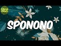 Kabza De Small - Sponono (lyrics)