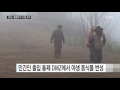 야생동물 낙원 dmz...멸종위기 91종 포착 ytn yes top news