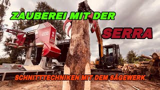 Schnitttechniken mit dem Sägewerk für fortgeschrittene Säger🫵😎