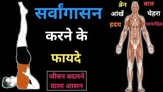 सर्वांगासन करने के 7 फायदे | sarvangasana benefits in hindi | Yogasana 🧘‍♂️ | Sarvangasana | #shorts