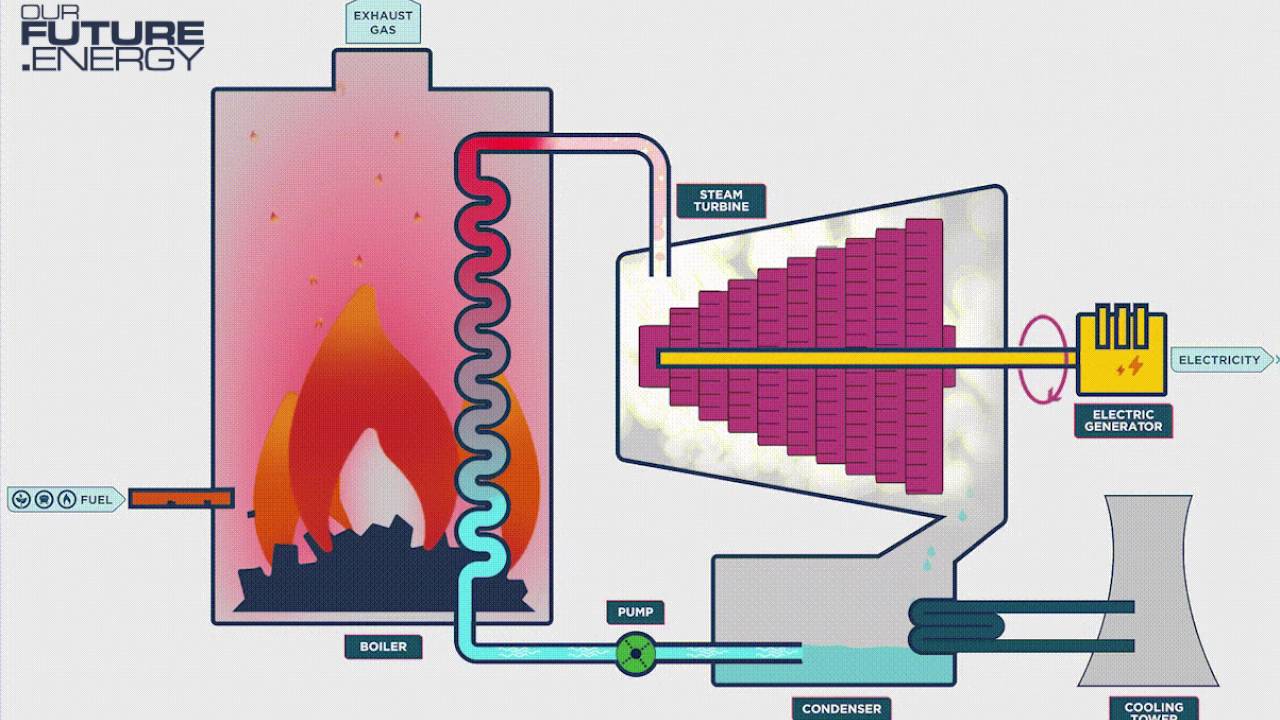 How Does A Biomass Power Plant Work