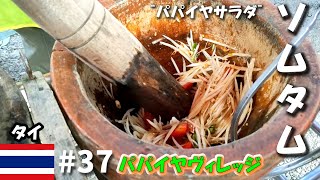 タイ【屋台ソムタムの作り方】材料すべて解説付き！（パパイヤサラダ） / パパイヤヴィレッジ