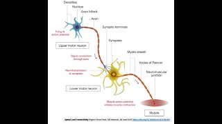 Neurobiology Methods Webinar